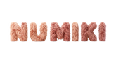 Numiki – Accueil